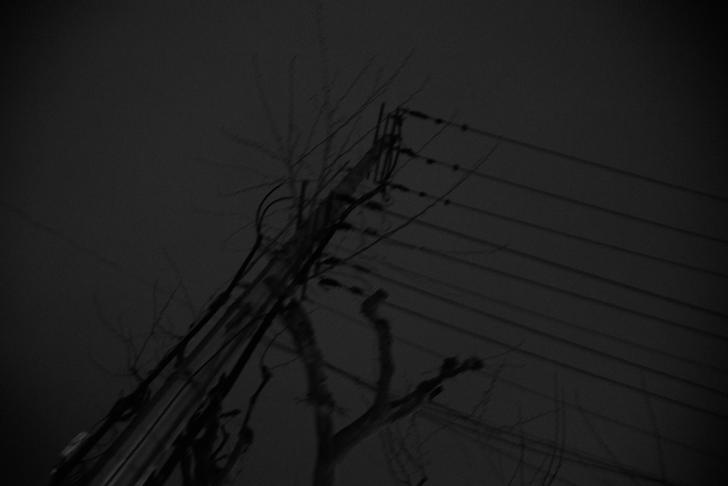 上海 2020 image 94